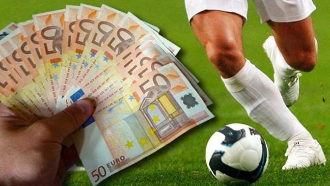 Các chuyên gia Việt Nam hướng dẫn bạn cá